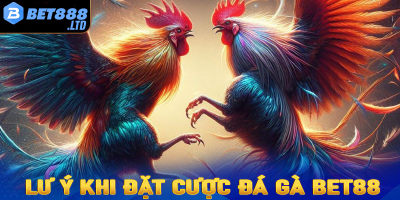 Điều cần lưu ý trong quá trình cá cược đá gà Bet88 để tránh gặp sự cố