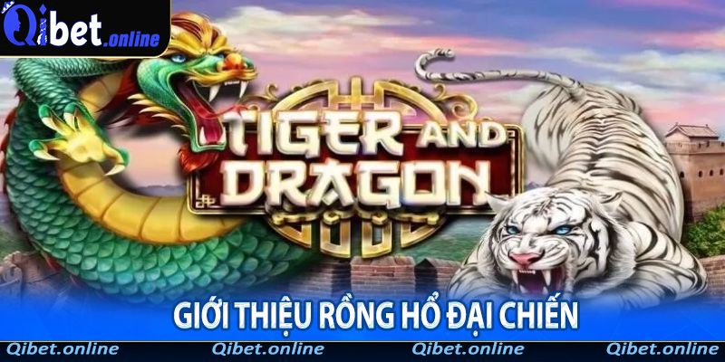 Rồng Hổ tại Qibet