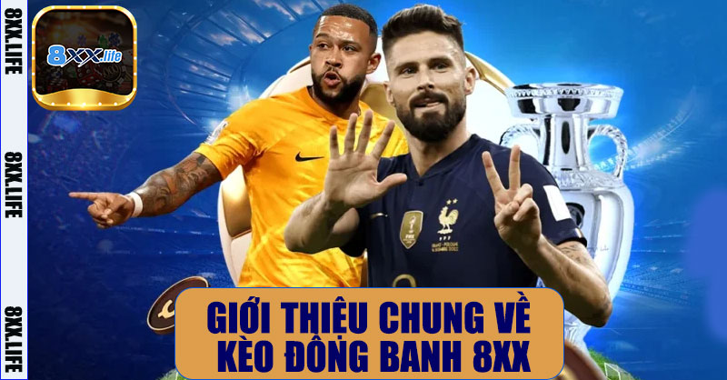 Giới thiệu chung về kèo đồng banh 8XX